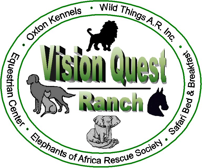 Copy of Vision Quest Ranch Ranch uniform logo 72dpi